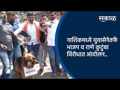 नाशिकमध्ये युवासेनेतर्फे भाजप व राणे कुटुंबा विरोधात आंदोलन.| Narayan Rane | Maharashtra| Sakal |