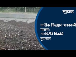 Descargar video: नाशिक जिल्ह्यात अवकाळी पाऊस; गारपिटीने पिकांचे नुकसान | Nashik | Maharashtra | Sakal Media |