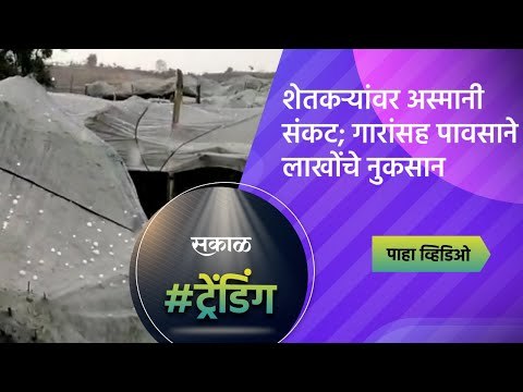 शेतकऱ्यांवर अस्मानी संकट; गारांसह पावसाने लाखोंचे नुकसान | Pune | Maharashtra | Sakal Media |