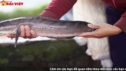 Mơ thấy cá lóc có tỉ lệ trúng cao nhất