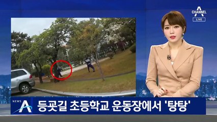 초등학교에 나타난 130kg 멧돼지…등굣길 ‘난리’