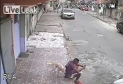 Sokak köpeği adamı dumura uğrattı