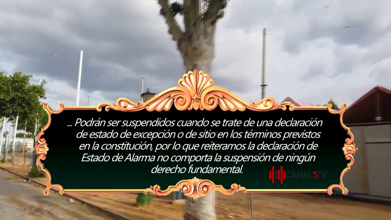 ¿CONOCES TUS DERECHOS?