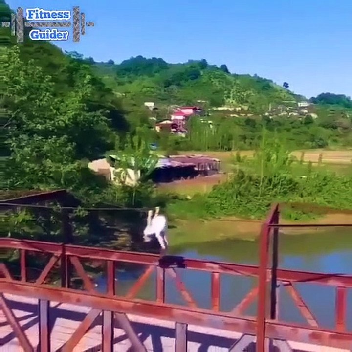 Must Watch Viral Videos Online 2