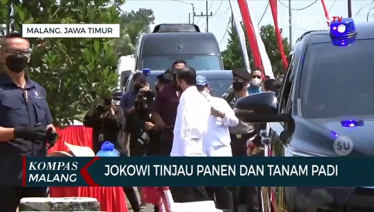 Presiden Jokowi Tinjau Tanam dan Panen Padi di Malang
