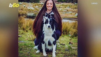 Viral TikTok Border Collie Cannot Contain His Excitement Around Water!