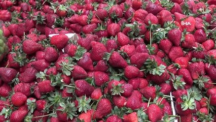 Pazar fiyatlarına tam kapanma artışı