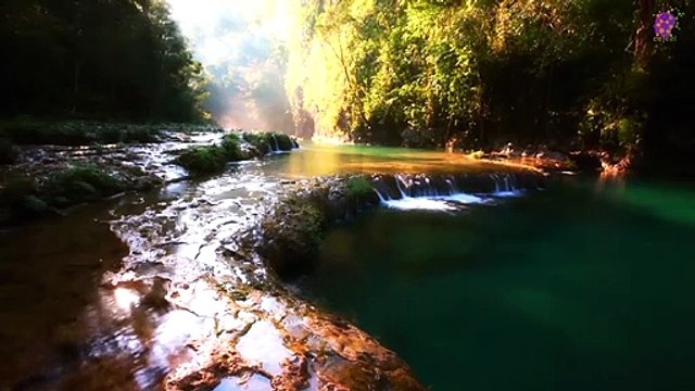 15 Minute Soothing Music for Self-love | Anti-Depression | Peaceful | Mindfulness | Meditation | Healing | Anxiety Relief | Slow | Instrumental | Sleep | Calming