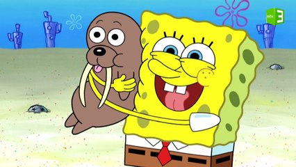 سبونج بوب يعود لحياة الطفولة