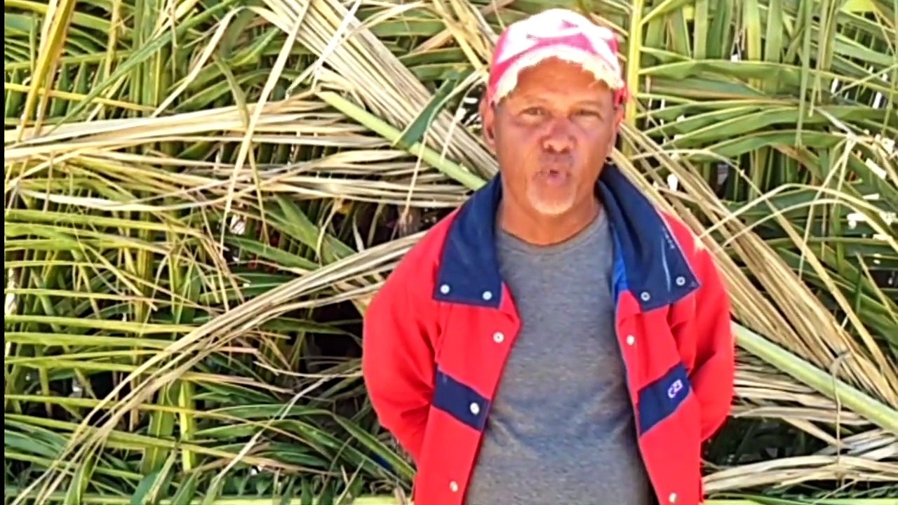 Agricultores protestan ante posible desalojo de sus predios agrícolas en Tamayo