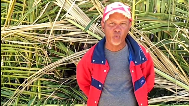 Agricultores protestan ante posible desalojo de sus predios agrícolas en Tamayo