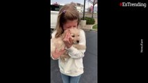 “¡Lo amo!”: niña rompe en llanto tras adoptar al perrito de sus sueños