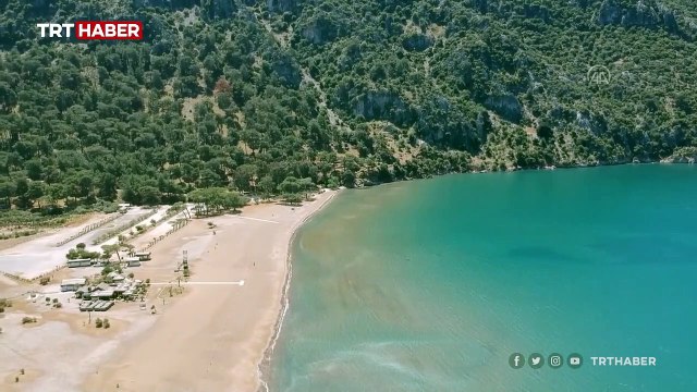 İztuzu sahiline caretta carettalar yumurta bırakmaya başladı