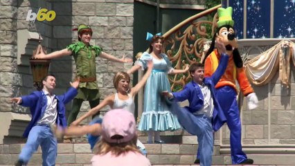 Why There Are No Mosquitos at Disney World