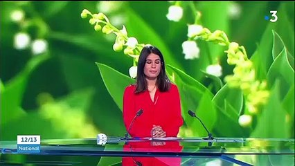 1er mai : les fleuristes n'auront pas l'exclusivité de la vente du muguet