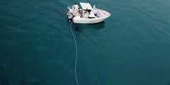 Balıkçı teknesine köpek balığı saldırısı