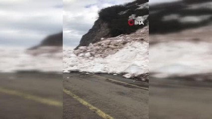 Artvin'de çığ düşmesi sonucu kapanan Camili Bölgesi tekrar ulaşıma açıldı