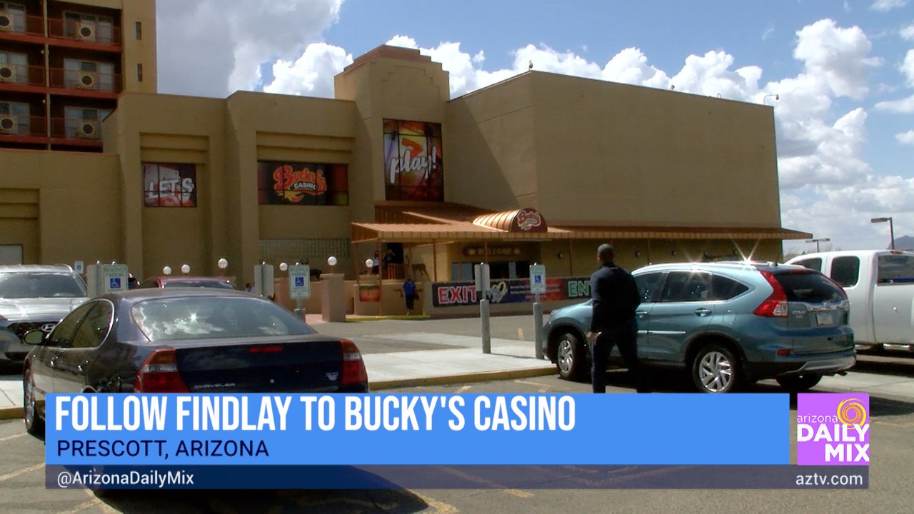 Follow Findlay to Bucky’s Casino video Dailymotion