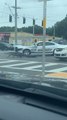 Cop Tries to Coax Huge Alligator Away From Busy Intersection