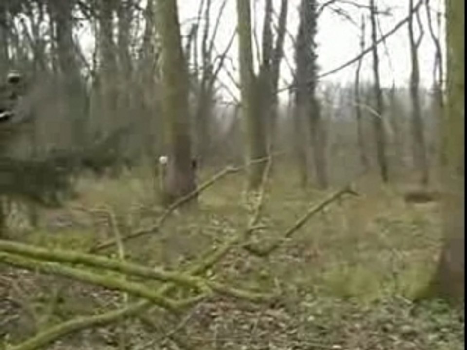 Lsd paintball session foret 2008