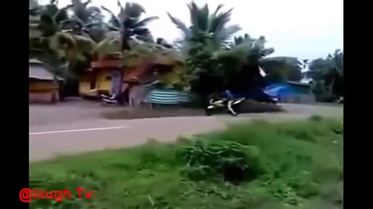 Funny videos