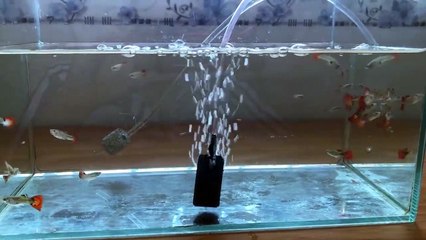 Diy: Air Pump For Fish Tank With Plastic Bottle | Do Not Use Electricity