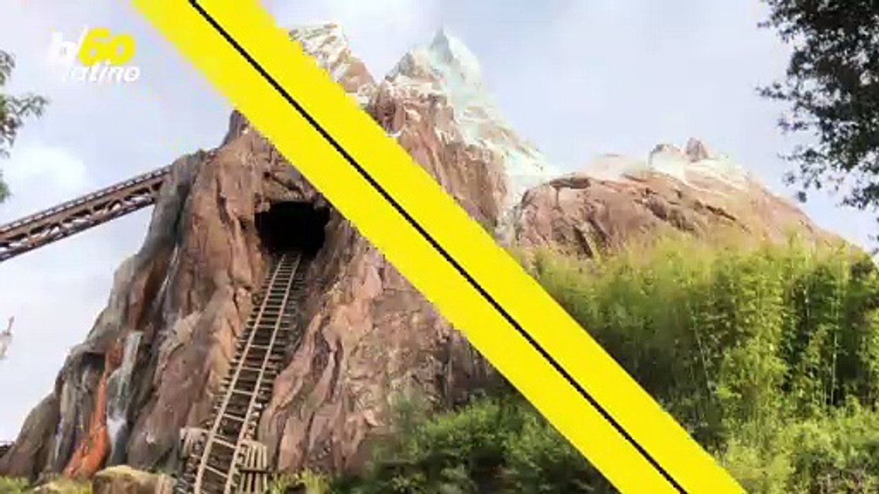 Porque No Hay Mosquitos En Disney
