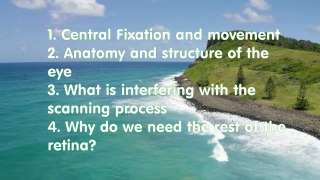 Central Fixation and movement, about the anatomy and structure of the eye, What is interfering with the scanning process, Why do we need the rest of the retina?
