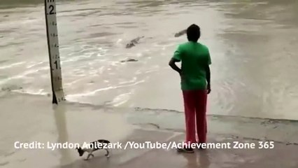 Terliğin gücü timsahı yendi