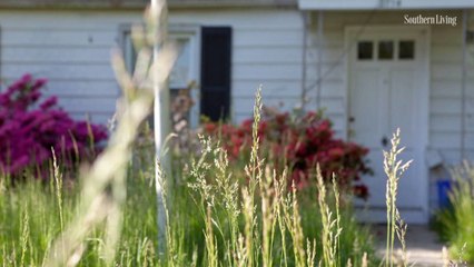 "Lazy Lawns" Are Topping the Garden Trends for 2021