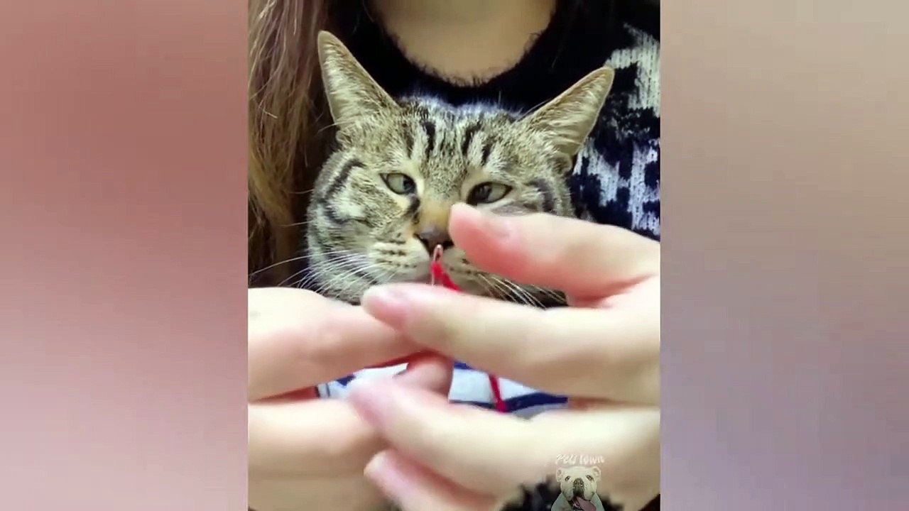 #Sundar Vs Jethalal Fight  #Jethalal Thug Life Funny Status  #Babita Funny #Memes #Tmkoc #Shorts