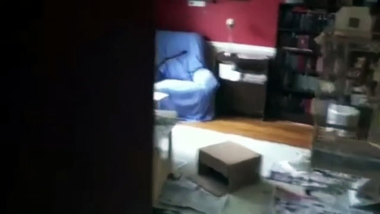 The Ultimate Birds Cursing Compilation, Only Best Clips, Funny Birds 2018