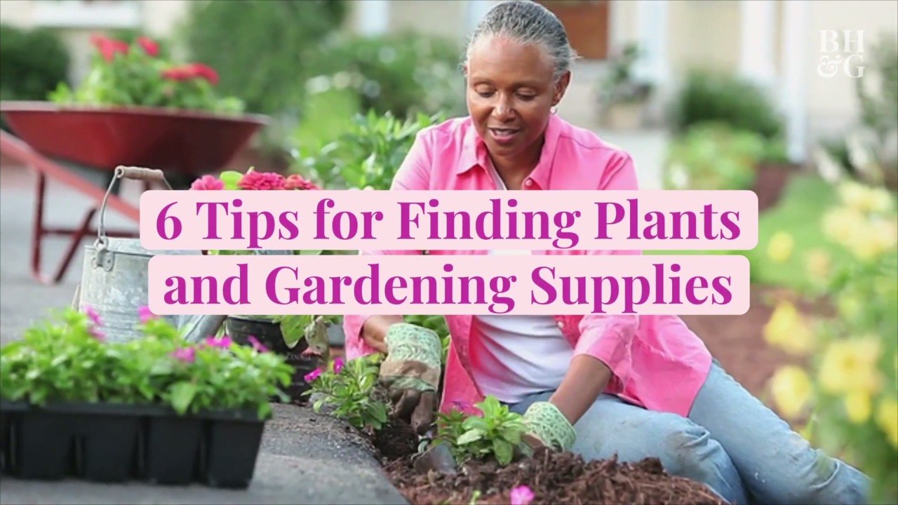 6 Tips for Finding Plants and Gardening Supplies That Are Selling Out Fast This Year