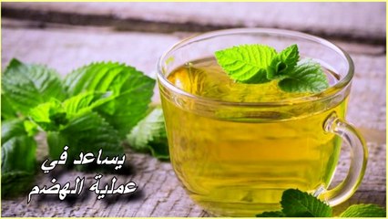 فوائد النعناع ستجعلك تتناوله يوميا منها علاج القولون