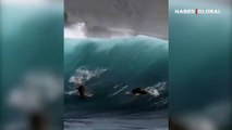Dev dalgaların tadını çıkaran deniz aslanları kamerada