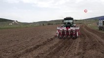 Karabük'te atıl durumdaki tarım arazileri üretime kazandırılıyor