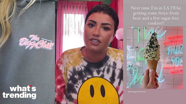 Demi Lovato's Backlash with The Bigg Chill and Their Diet Culture Vultures Explained