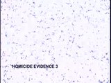 HOMICIDE  EVIDENCE  3  on Dvd     by  NSSA/Crime Genre