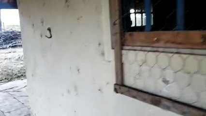 Veja a casa onde suspeitos de integrarem facção morreram em confronto com a PM