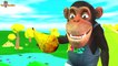 Funny Monkeys Take Away Chicken Eggs - Monkey Cartoon Eat Fruits - Funny Animals Videos