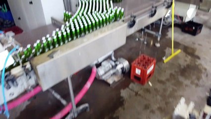 Belgique: les brasseurs de bière sous pression avant la réouverture des terrasses