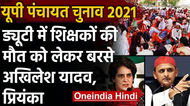UP Panchayat Chunav 2021: ड्यूटी में लगे 577 टीचर्स की मौत, प्रियंका-अखिलेश बोले ये | वनइंडिया हिंदी