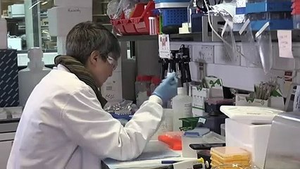 No evidence linking two deaths to AstraZeneca jab