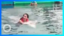 Viral Video Lucinta Luna, Atraksi Berenang Bersama Lumba-Lumba Ditutup - TomoNews