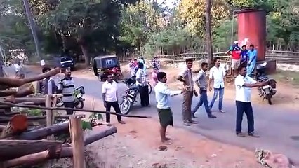 Ils capturent un cobra royal... Belle maitrise