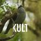 Le Tuit-Tuit, l’un des oiseaux les plus rares au monde