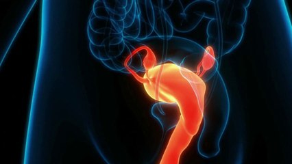 Santé - Infections urinaires : le cauchemar des femmes
