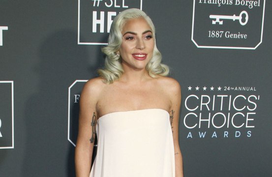 Lady Gaga's alleged dognappers arrested