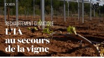 Une ombrière intelligente pour sauver les vignes du sud de la France