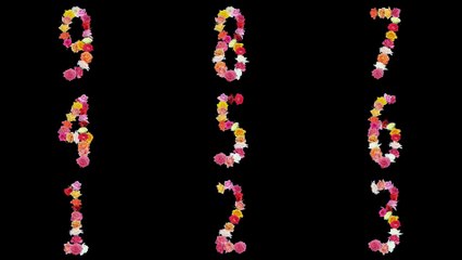 Blooming winsome Roses forming numbers from zero to nine | Licensed Footage
